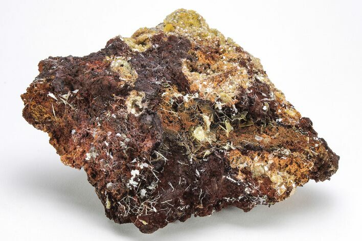 Fibrous, Yellow Wulfenite Crystals - Lucin, Utah #214810